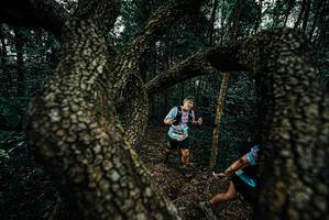 BIB: 
                            <button type="button" onclick="openModal(25686560)" class="btn btn-primary btn-sm float-right btn-popup" data-toggle="modal" data-target=".modal-high-quality">
                        <i class="fas fa-shopping-cart"></i> Add to Cart
                    </button>
                                            <button type="button" onclick="isThisMe(25686560, true)" class="btn btn-success btn-sm float-right btn-popup btn-isme hidden" data-toggle="tooltip" data-placement="bottom" title="นี่คือรูปของคุณใช่ไหม คลิกที่นี่เพื่อเอาเข้าอัลบั้ม">
                        <i class="fas fa-plus"></i> Add to album
                    </button>
                    <button type="button" onclick="isThisMe(25686560, false)" class="btn btn-warning btn-sm float-right btn-popup btn-isnotme hidden">
                        <i class="fas fa-ban"></i> Remove from album
                    </button>